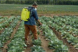 Farmer Spraying Pesticides